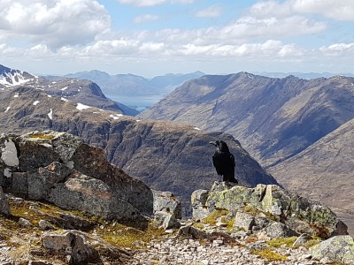 Looking across to Stob Coire Raineach.